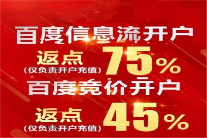 如何在sem百度竞价中实现ROI最大化？——案例分享